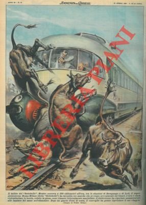 Superelettrotreno investe tre mucche avventuratesi sui binari.