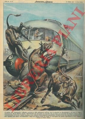 Superelettrotreno investe tre mucche avventuratesi sui binari.