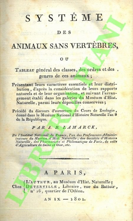 Systeme des animaux sans vertèbres, ou tableau général des classes, …