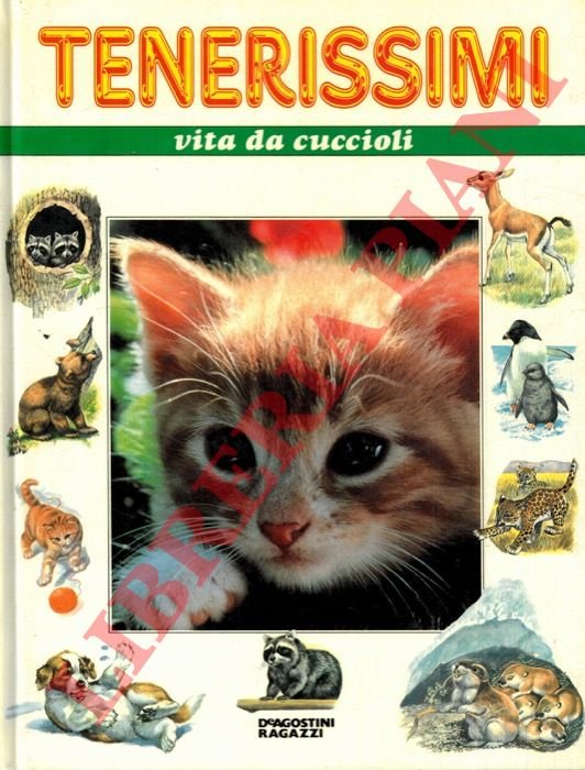 Tenerissimi vita da cuccioli.