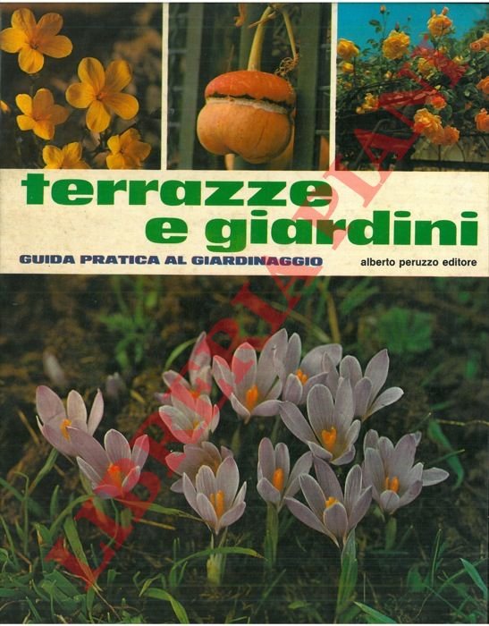 Terrazze e giardini. Guida pratica al giardinaggio.
