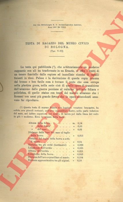 Testa di ragazzo del Museo Civico di Bologna.