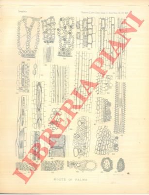 The botany of the Afghan Delimitation Commission.