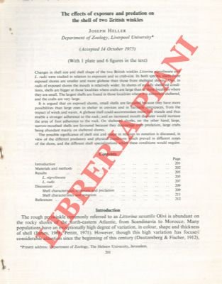 The effects of exposure and predation on the shell of …