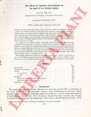 The effects of exposure and predation on the shell of …