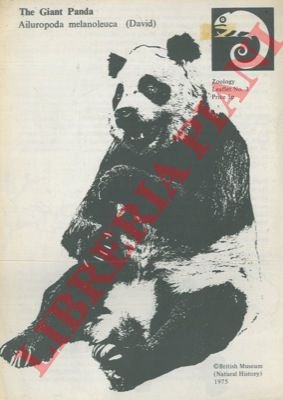The giant panda.