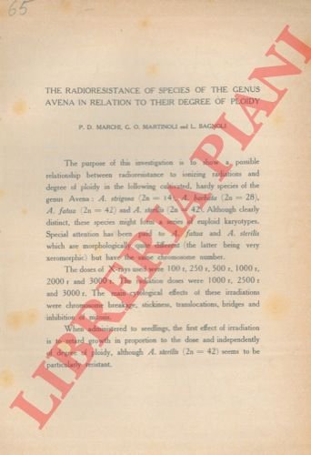The radioresistence of species of the Genus Avena in relation …