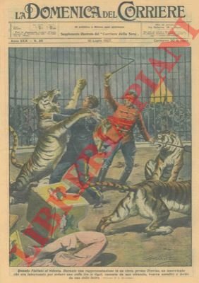 Tigri assalgono domatore durante uno spettacolo a Treviso.