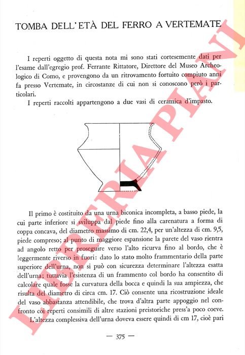 Tomba dell'Età del Ferro a Vertemate.