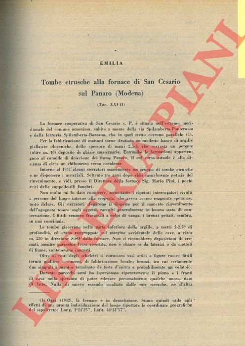 Tombe etrusche alla fornace di San Cesario sul Panaro (Modena) …