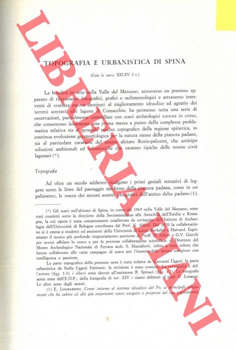 Topografia e urbanistica di Spina.