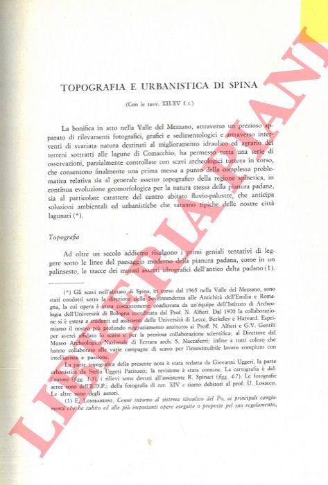 Topografia e urbanistica di Spina.