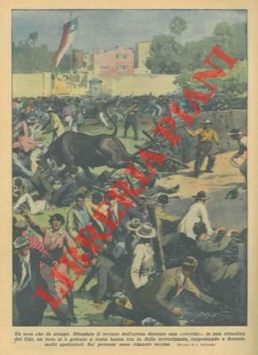 Toro inferocito sfonda il recinto dell'arena andando tra gli spettatori.