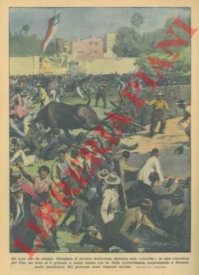 Toro inferocito sfonda il recinto dell'arena andando tra gli spettatori.