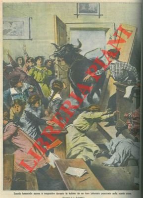 Toro infuriato invade una scuola femminile.