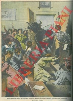 Toro infuriato invade una scuola femminile.