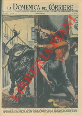 Toro scappato al proprio guardiano bussa all'uscio di una casa …