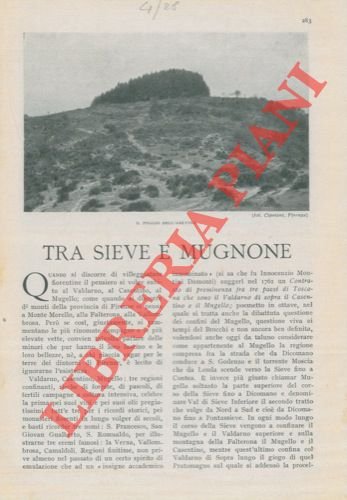 Tra Sieve e Mugnone. | Immagine Gallery 2
