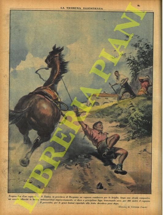 Tragica fine d'un ragazzo. A Zanica, in provincia di Bergamo, … | Immagine Gallery 2