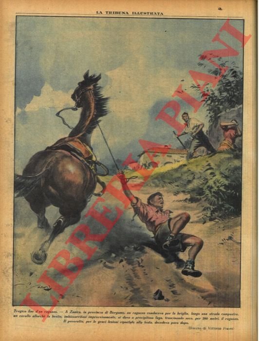 Tragica fine d'un ragazzo. A Zanica, in provincia di Bergamo, … | Immagine Gallery 3