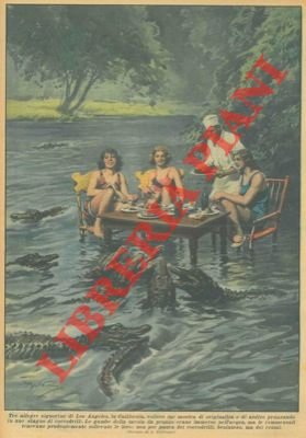 Tre signorine di Los Angeles pranzano in uno stagno di …