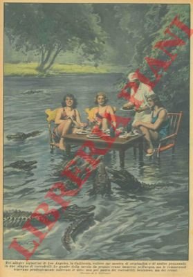 Tre signorine di Los Angeles pranzano in uno stagno di …