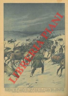 Tremila renne guidate da un solo uomo hanno viaggiato durante …