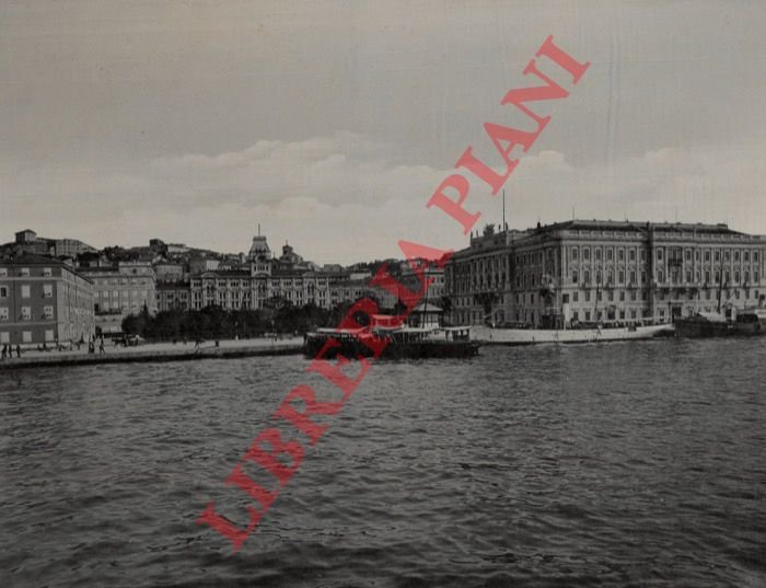 Trieste. Lloyd e Piazza Grande.
