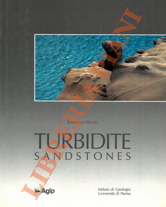 Turbidite Sandstones.