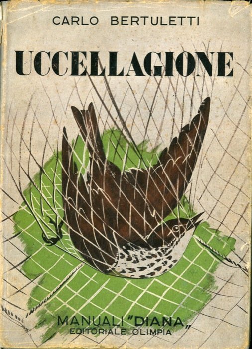 Uccellagione. | Immagine Gallery 2