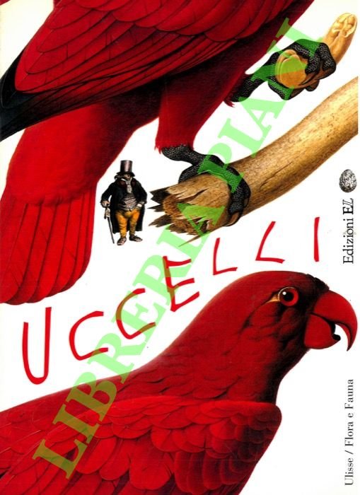 Uccelli.