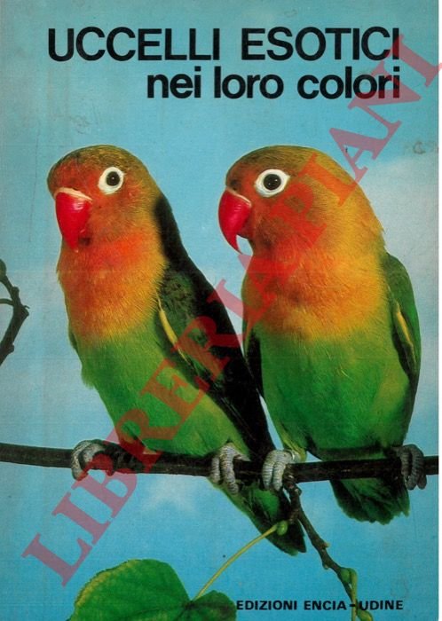 Uccelli esotici nei loro colori.