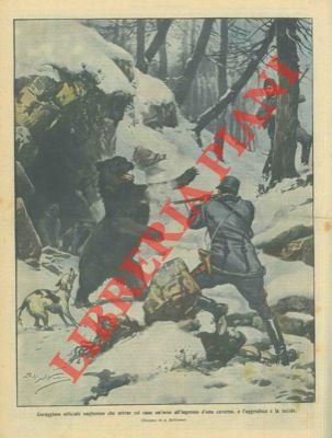 Ufficiale attrae col cane un'orsa all'ingresso d'una caverna, e la …