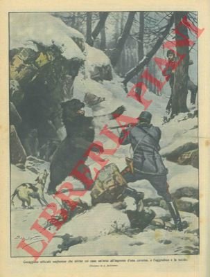 Ufficiale attrae col cane un'orsa all'ingresso d'una caverna, e la …