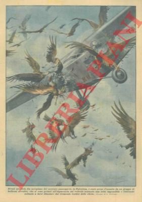 Un aeroplano è stato preso d'assalto da un gruppo di …