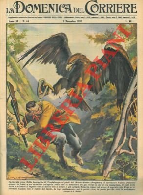 Un cacciatore catturava un'aquila reale nella boscaglia di Pradalunga (BG) …