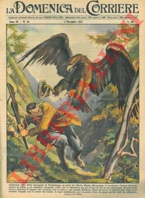 Un cacciatore catturava un'aquila reale nella boscaglia di Pradalunga (BG) …