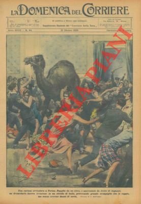 Un dromedario fuggito da un circo, a Torino, fa irruzione …