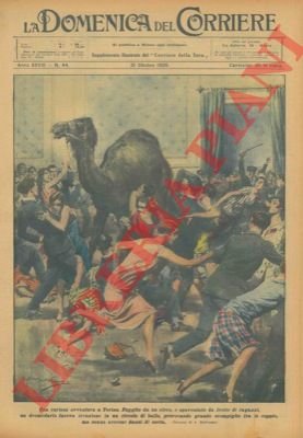 Un dromedario fuggito da un circo, a Torino, fa irruzione …