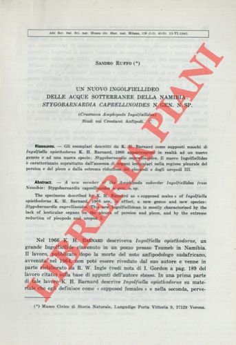 Un nuovo ingolfiellideo delle acque sotterranee della Namibia: Stygobarnardia caprellinoides …