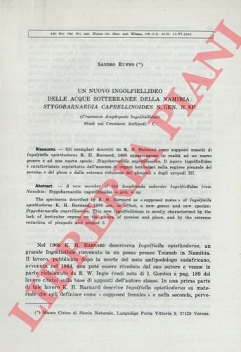 Un nuovo ingolfiellideo delle acque sotterranee della Namibia: Stygobarnardia caprellinoides …