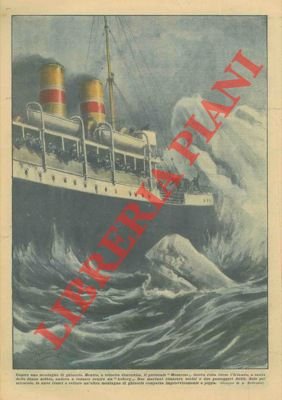 Un piroscafo, a causa della densa nebbia, va a cozzare …