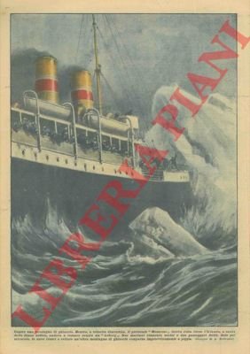 Un piroscafo, a causa della densa nebbia, va a cozzare …