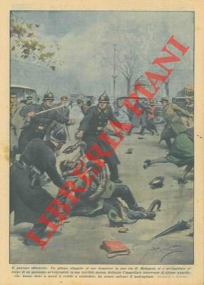 Un pitone, sfuggito al suo domatore, si é avvinghiato al …