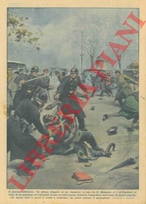 Un pitone, sfuggito al suo domatore, si é avvinghiato al …