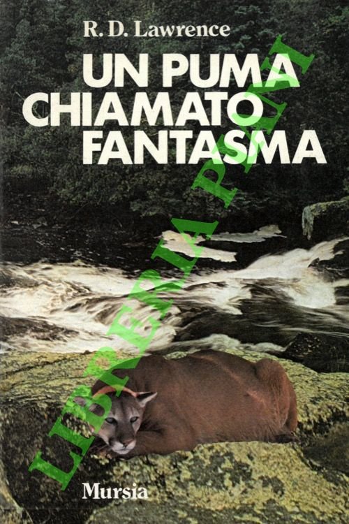 Un puma chiamato fantasma. | Immagine principale