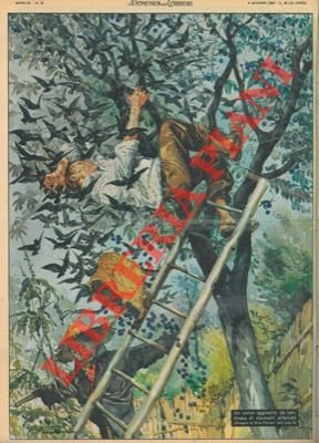 Un uomo aggredito da centinaia di stornelli affamati.