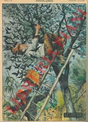 Un uomo aggredito da centinaia di stornelli affamati.