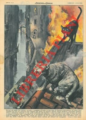 Un violento incendio è scoppiato, di notte, in una casa …