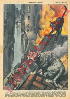 Un violento incendio è scoppiato, di notte, in una casa …